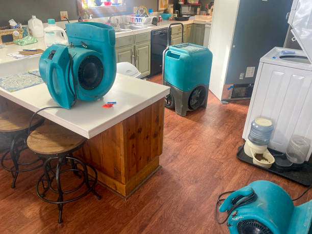 Best Basement water damage restoration  in Corydon, IA