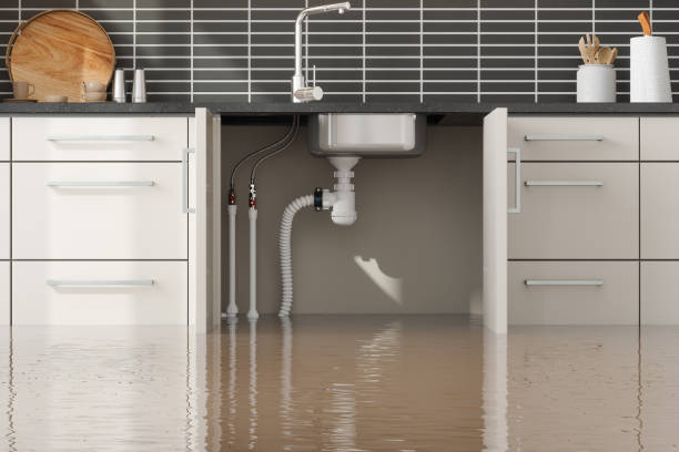 Best Water damage cleanup near me  in Corydon, IA