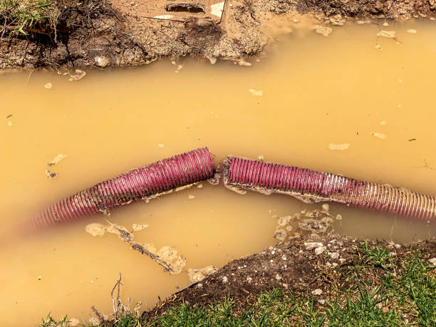 Best Commercial water damage restoration  in Corydon, IA